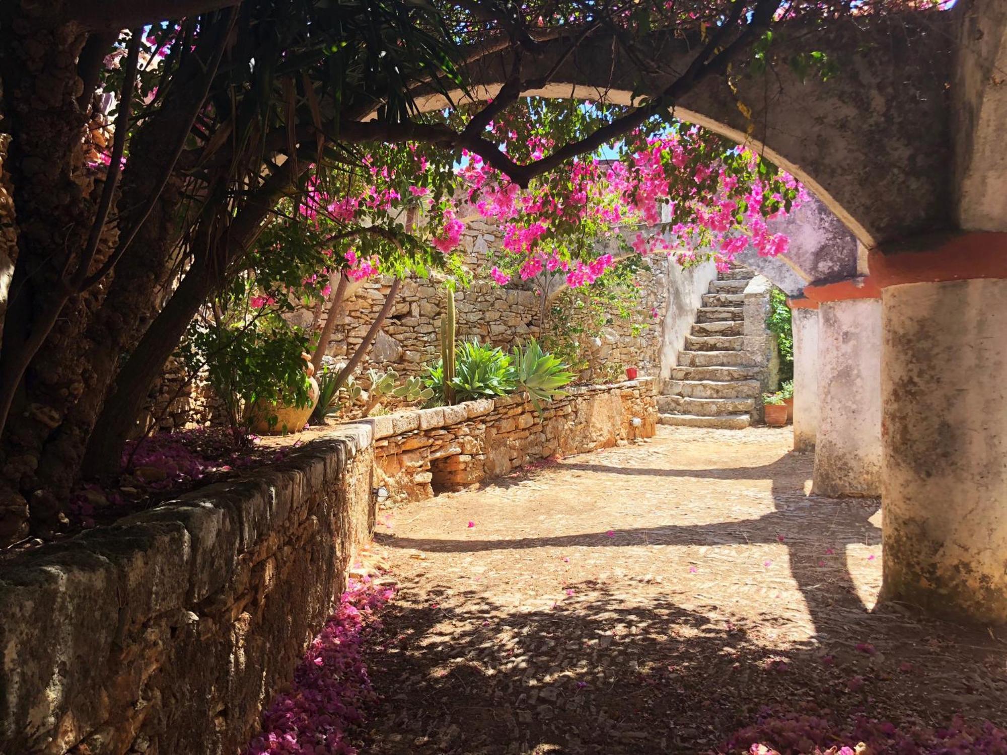 Astradeni Villa Symi Exteriör bild